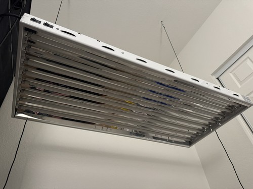 Sun system blaze grow - system,